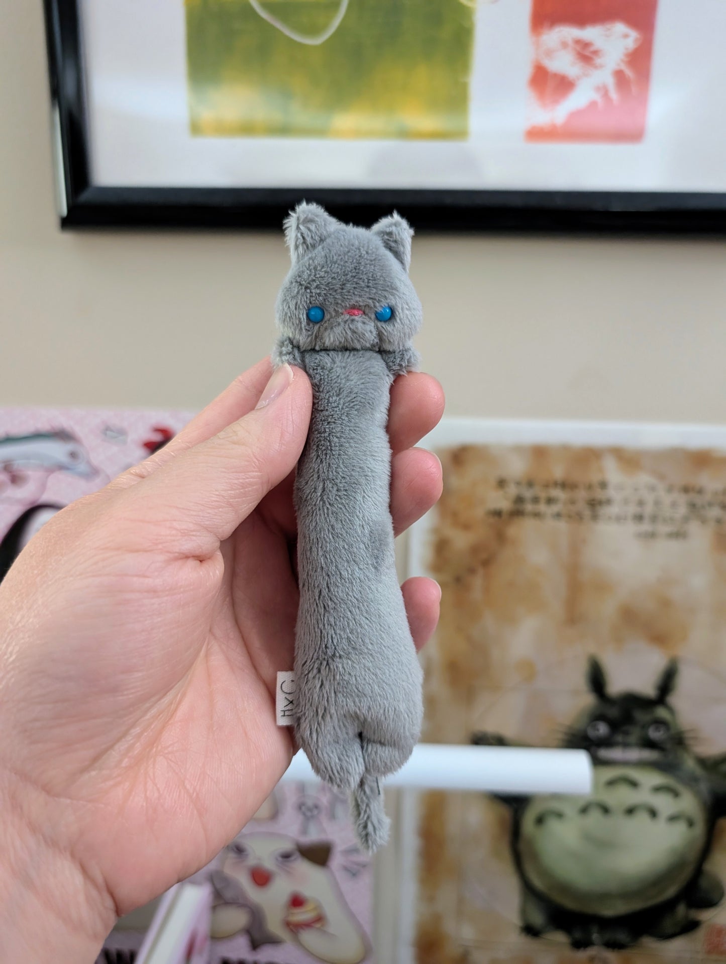 Eclair Grey Cat with Blue Eyes