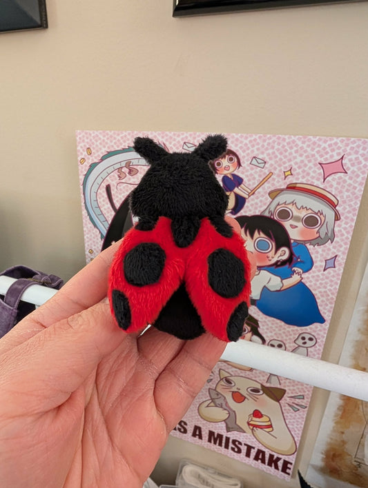 Ladybug