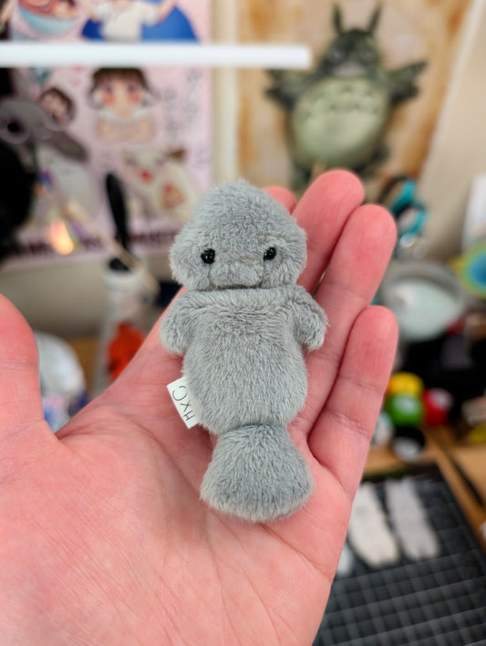 Manatee Charm