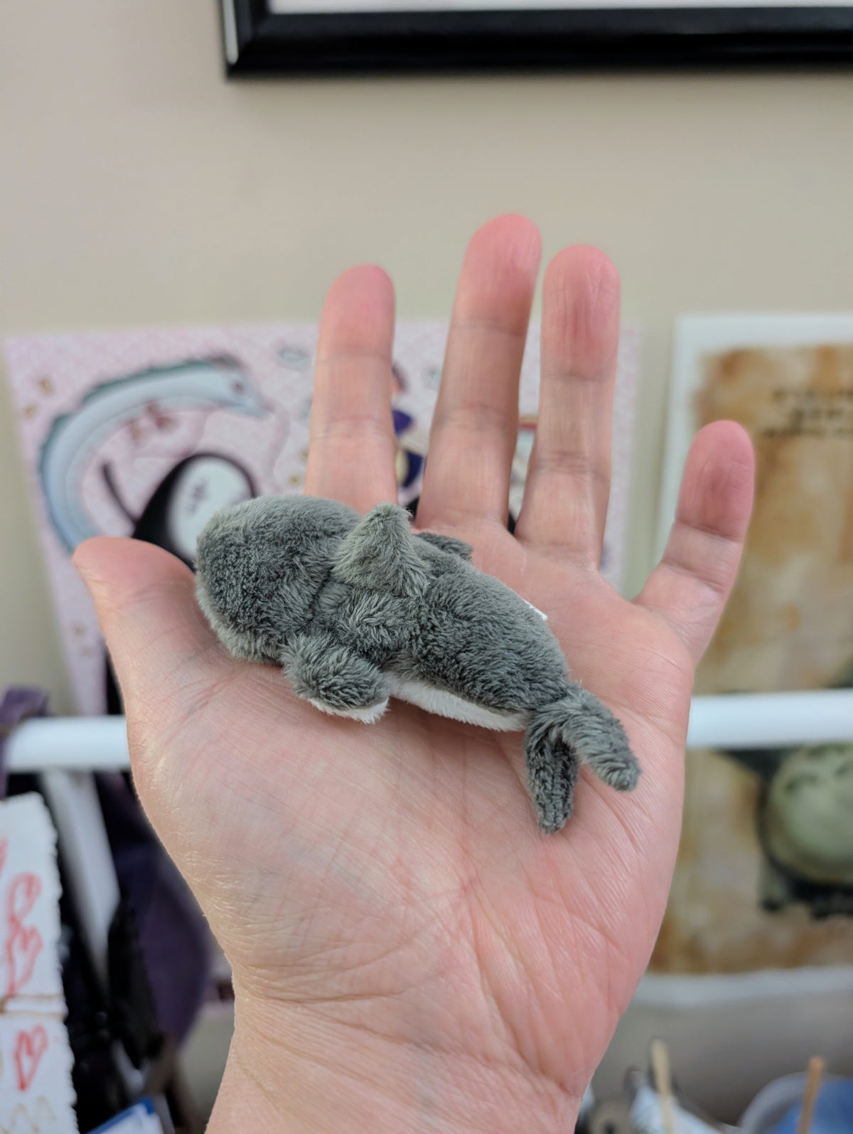 Ash Grey Shark