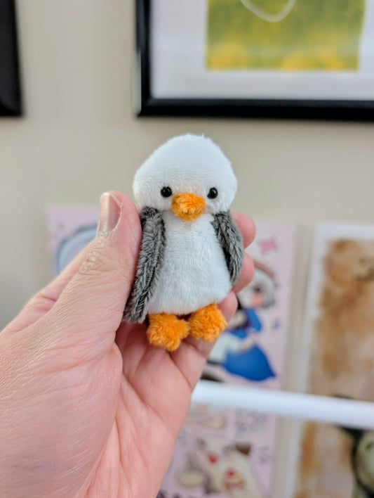 Seagull