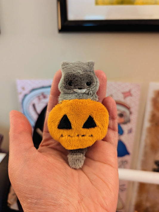 Raccoon in a Pumpkin